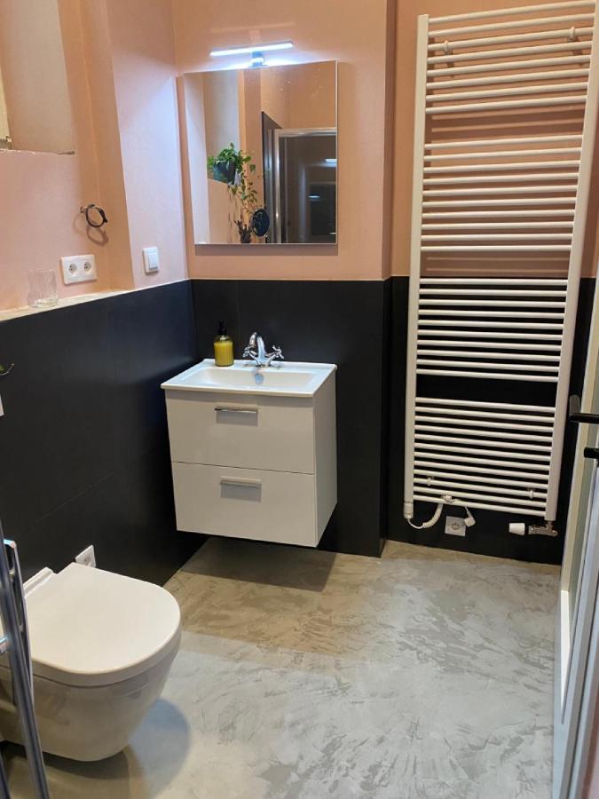 Four Rooms Carlsbad Authentic Karlsbad Buitenkant foto